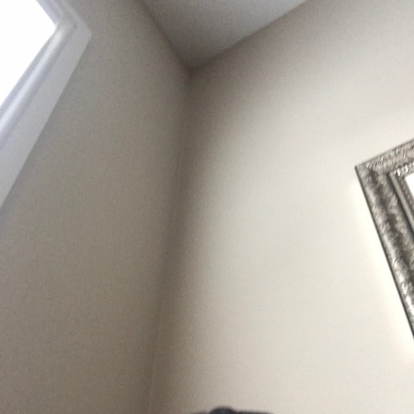 Meet your Posher, Tyson - Picture 1 of 1